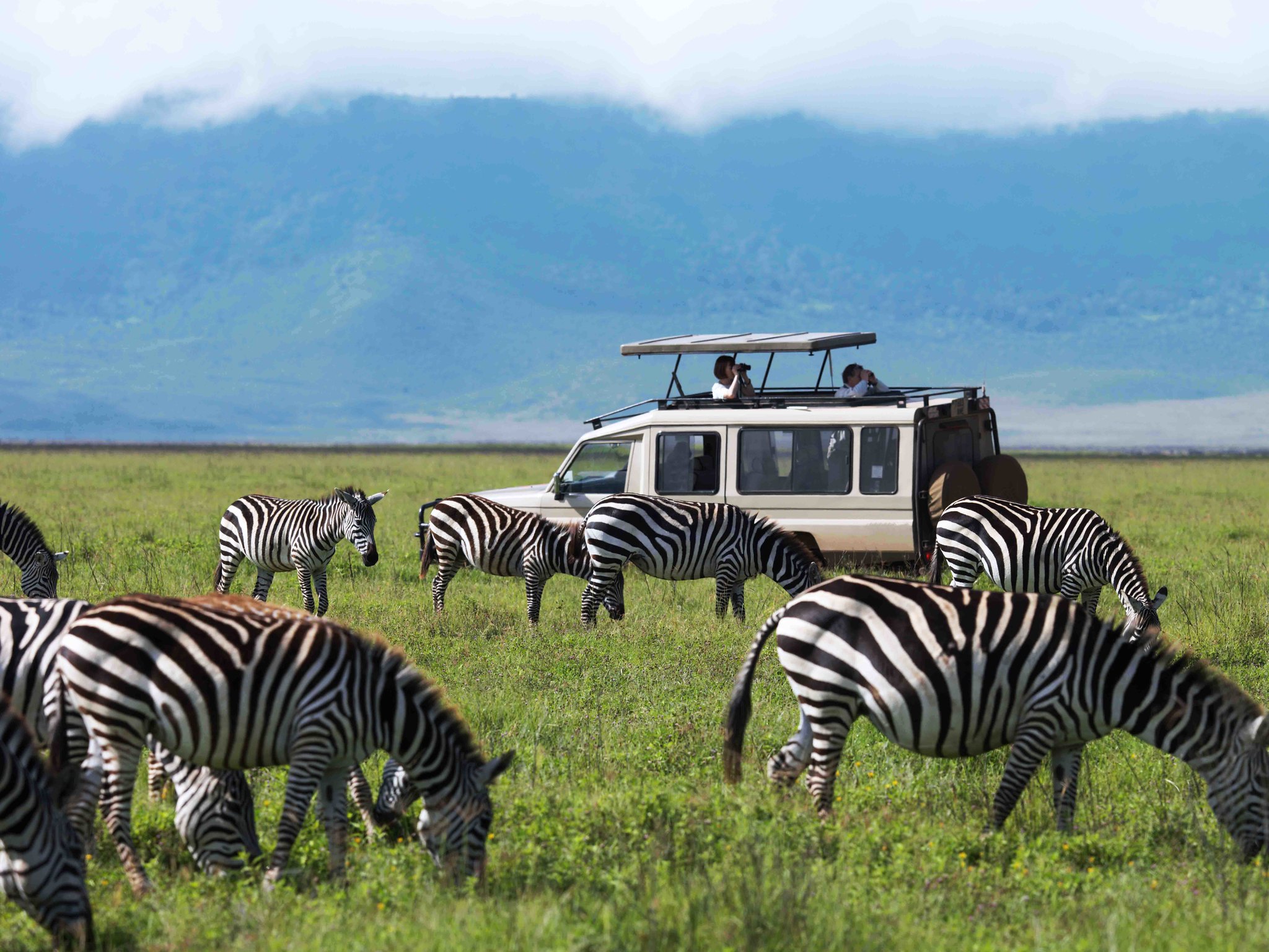 Serengeti aerials thumbnail