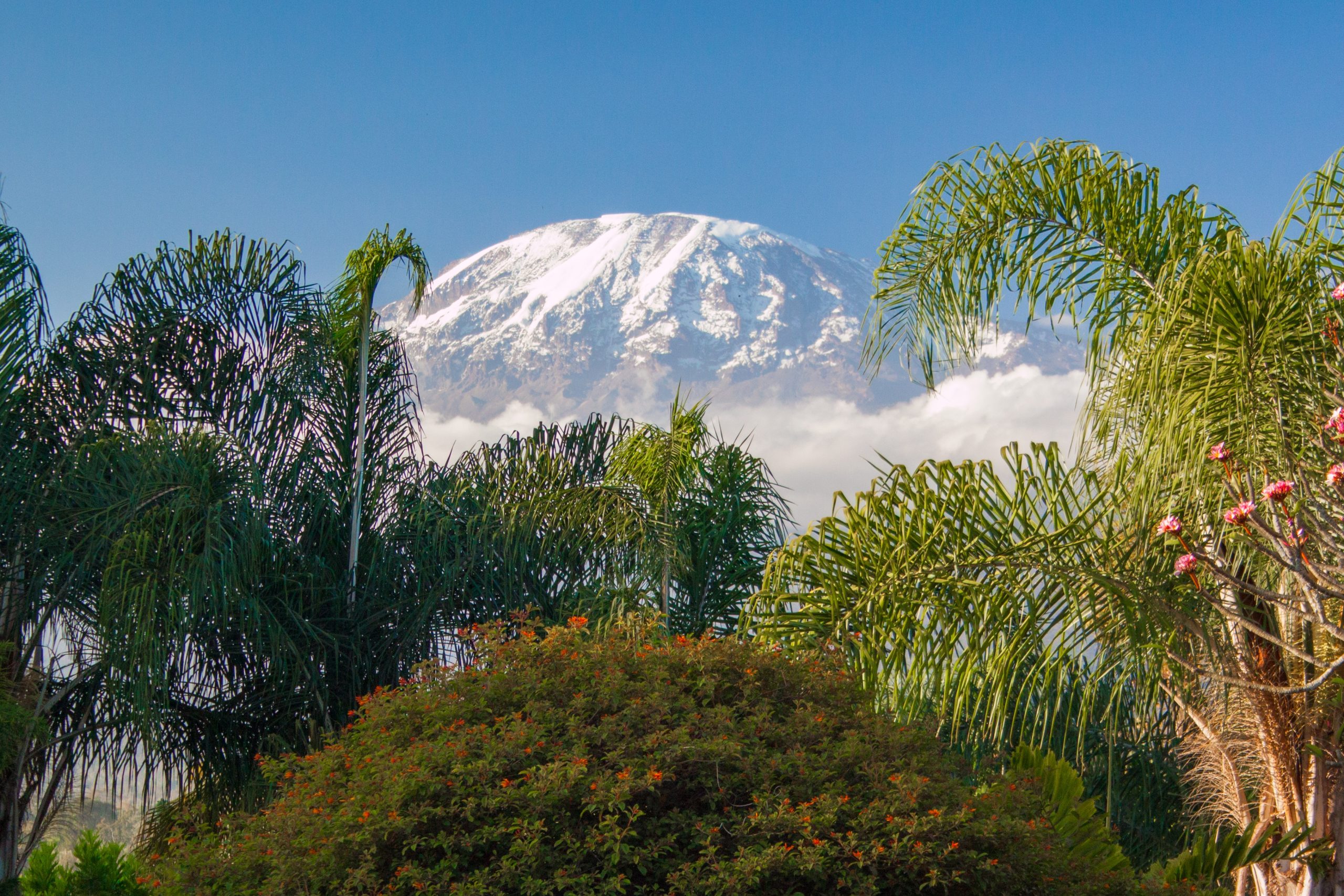 Eco-tourism experiences in Tanzania