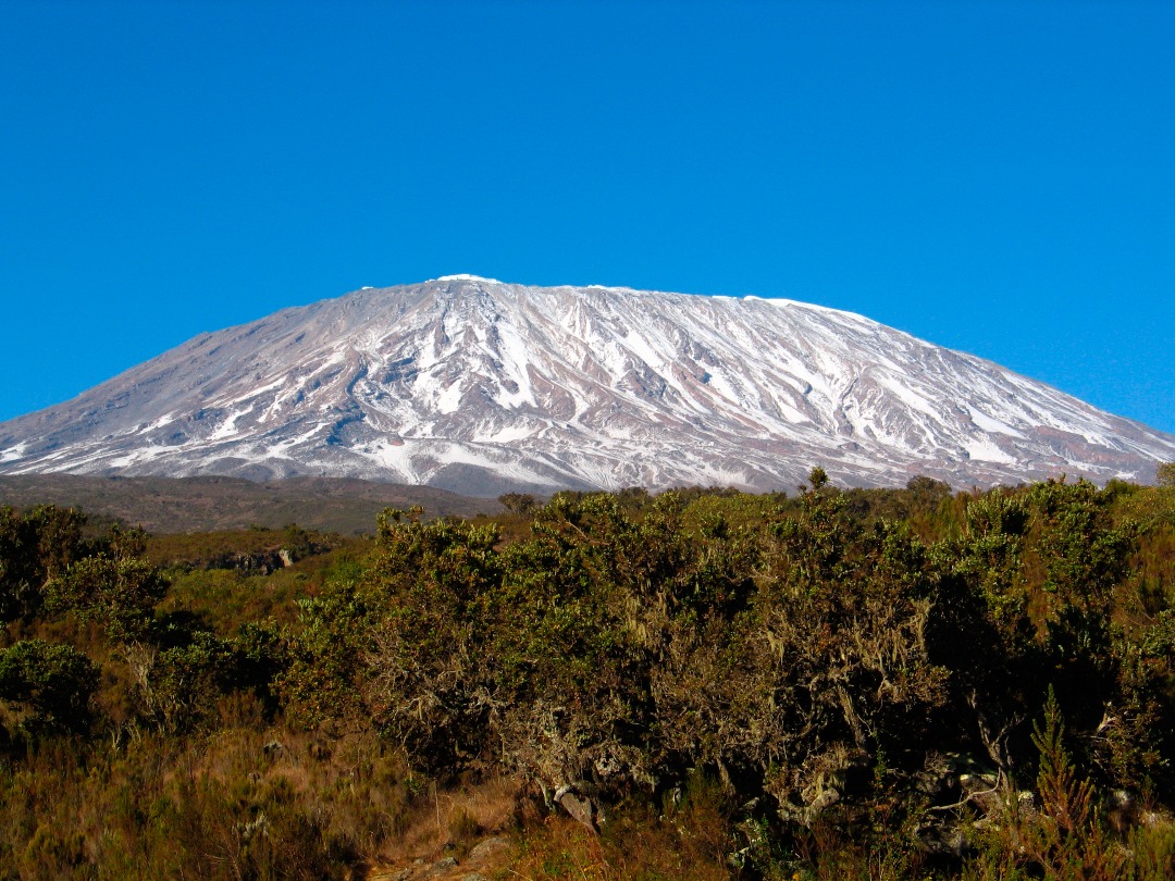 Tanzania landscape with wildlife and mountains